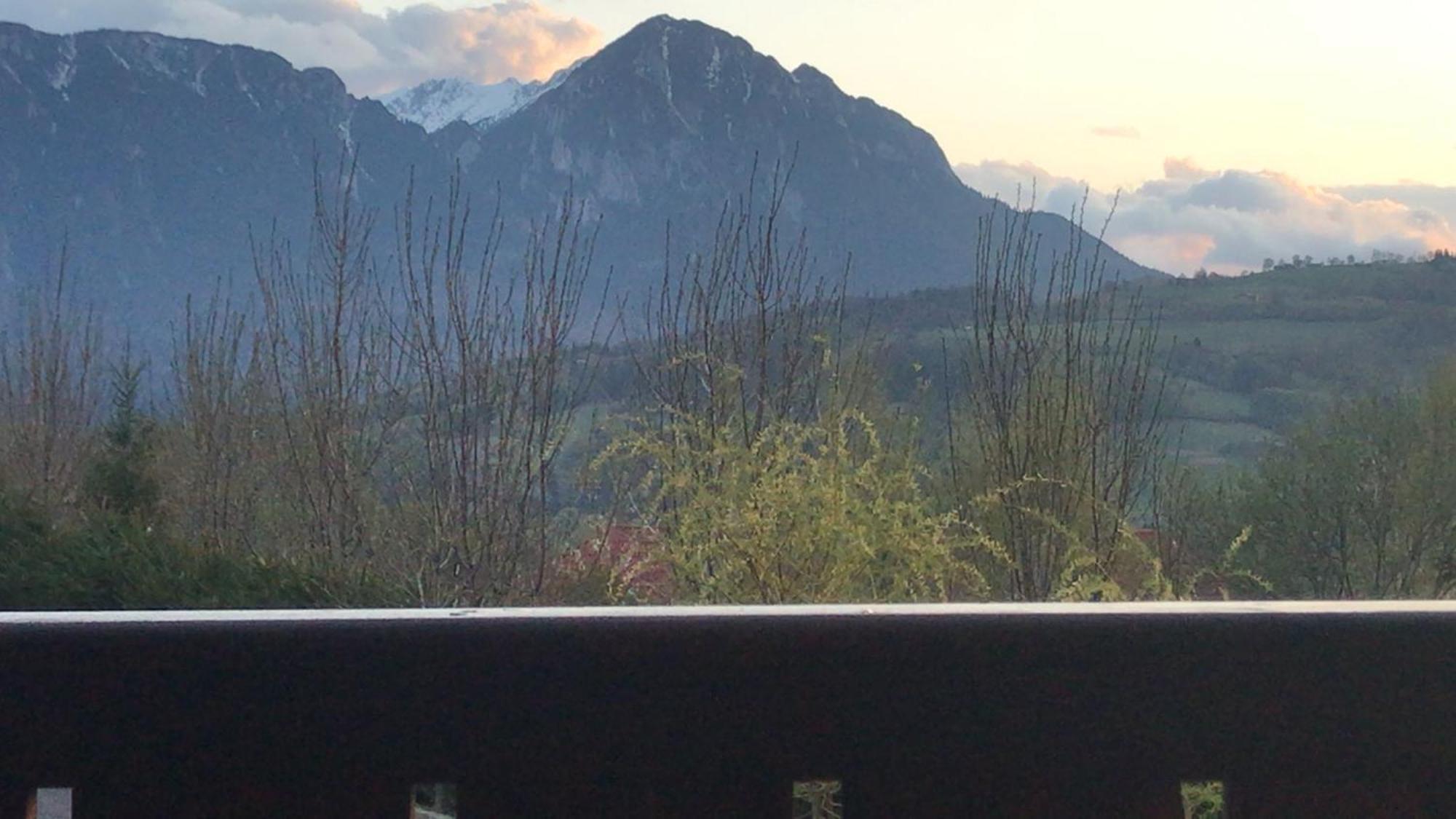Pension Chalet Poiana Marului Ranch Екстер'єр фото