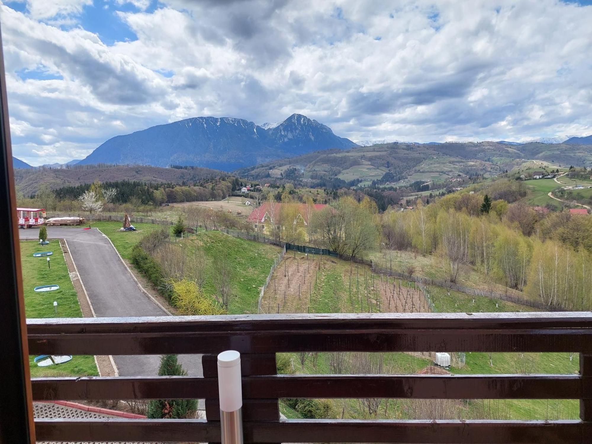 Pension Chalet Poiana Marului Ranch Екстер'єр фото